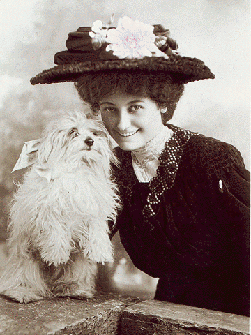 "Perrillos del halda" ilustrados