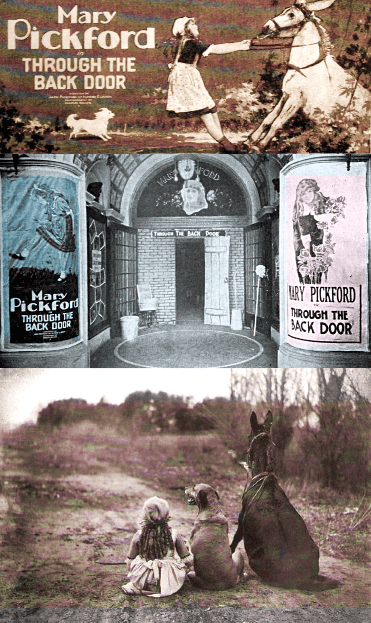 Teddy. El gran danés más falderillo de la historia | Mary Pickford-Through the back door Teddy | Perrillos del halda ilustrados