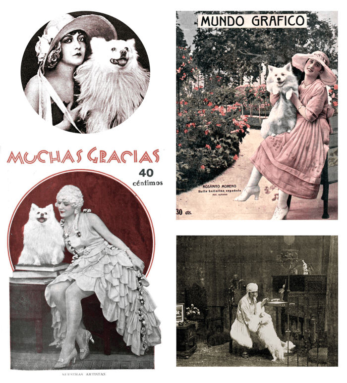 ¿Todas tenían un 'lulú' llamado Pablito? | Perrillos del halda ilustrados