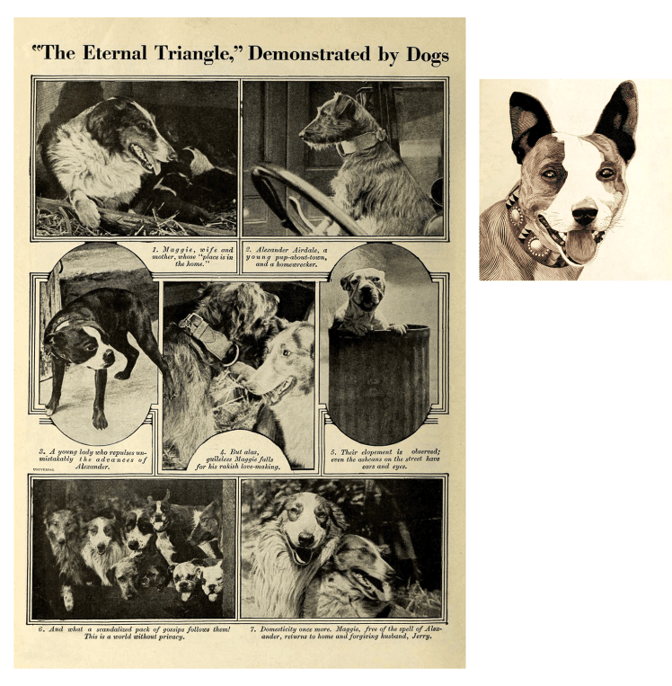 Brownie y Baby Peggy | Intento de censura | Perrillos del halda ilustrados