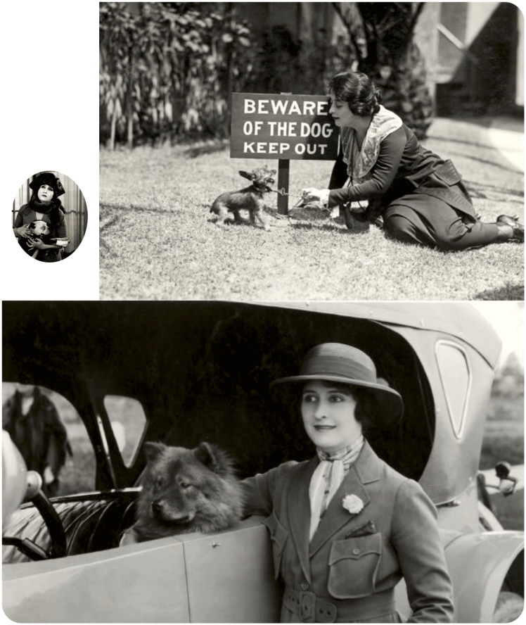 El cachorro 'ETC', y Wang | Perrillos del halda ilustrados