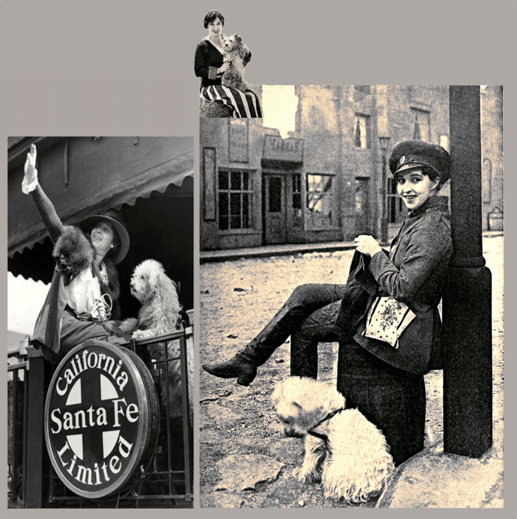 Sooner, de Edith Storey | Perrillos del halda ilustrados