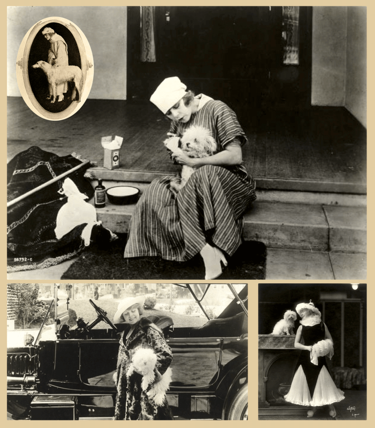 Fluffy y Kathlyn Williams | Perrillos del halda ilustrados