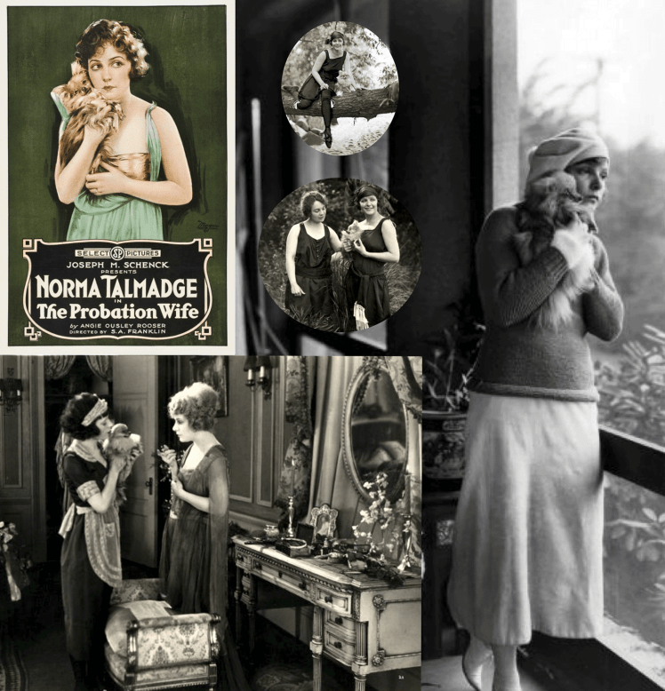 Dinky y Norma Talmadge | Perrillos del halda ilustrados