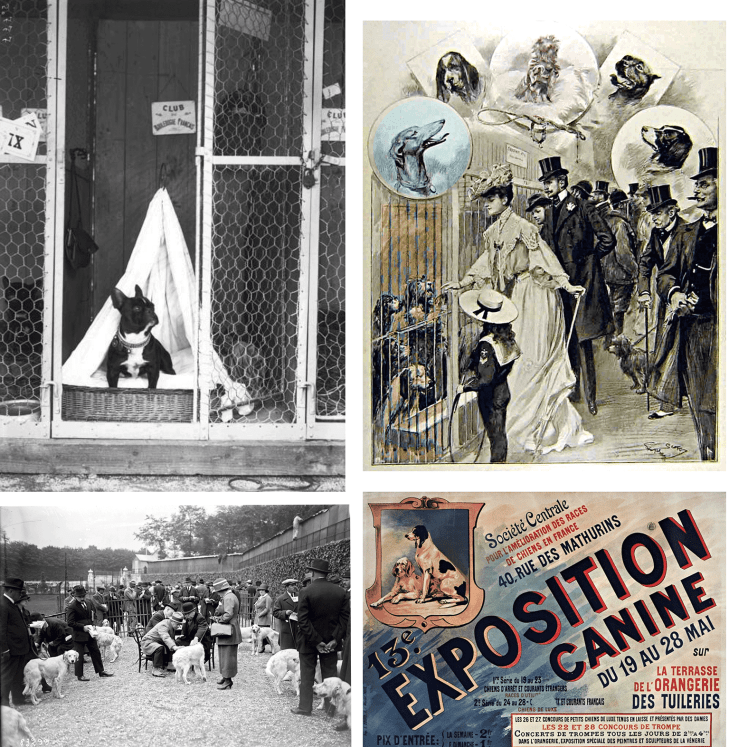 Tuileries, desde 1893 | Perrillos del halda ilustrados