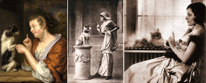 Siglos de inmovilidad | Perrillos del halda ilustrados