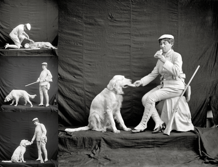 Billy y Minnie Chester | Perrillos del halda ilustrados