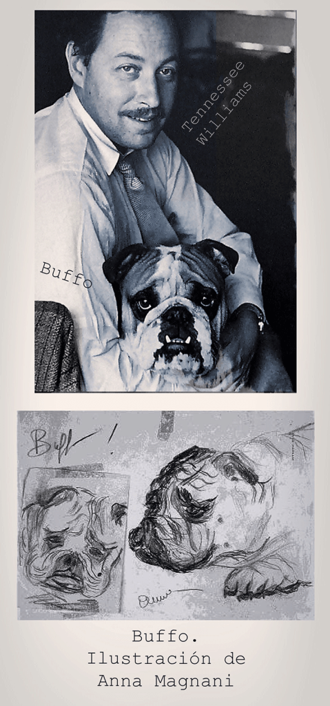 buffo y tennessee williams | Perrillos del halda ilustrados