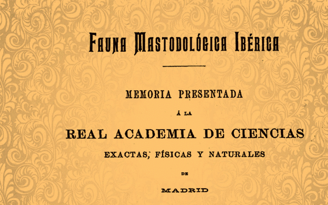 Cuadernillo Mastodológico | Perrillos del halda ilustrados