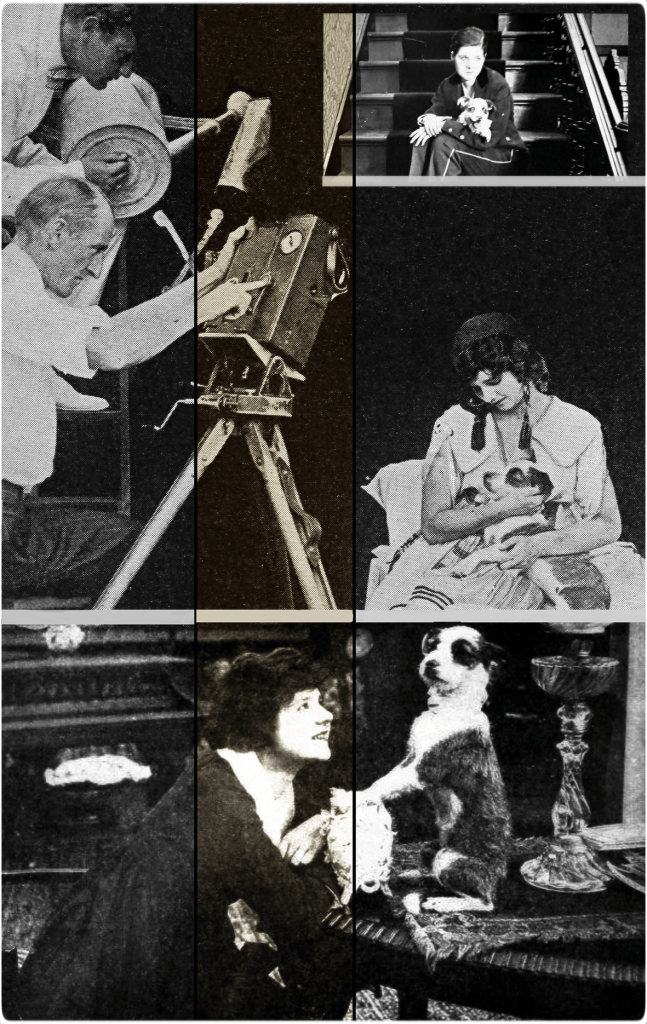 El incierto destino de Phantus, 1916 | Perrillos del halda ilustrados