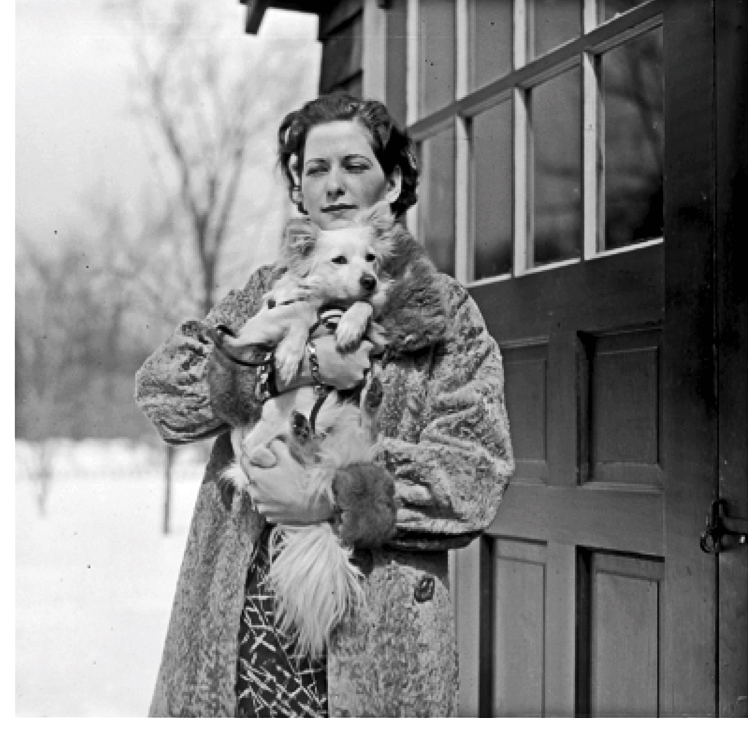 Norma & Brownie 1934 | Un largo invierno en 1934 | Perrillos del halda ilustrados