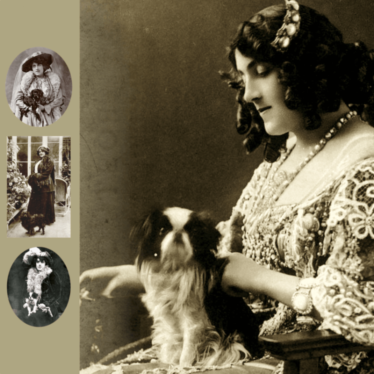 Julia Neilson Old Drury y Mousme | Mousme y Old Drury | Perrillos del halda ilustrados