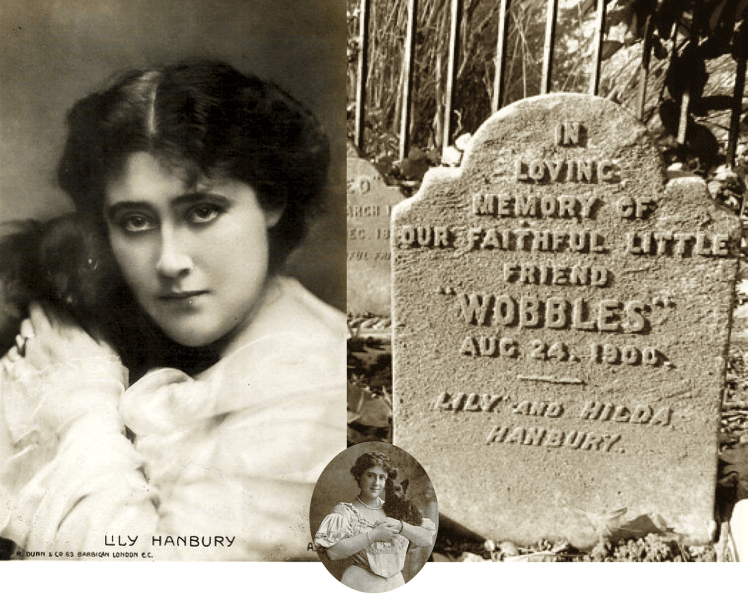 Wobbles Hanbury | Crónica social de 1903  | Perrillos del halda ilustrados