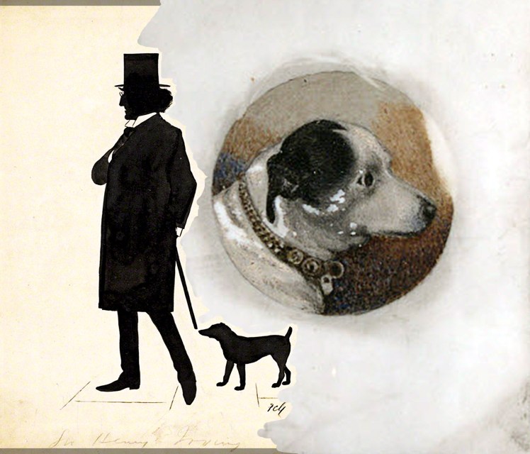 fussy irving terry ilustrados