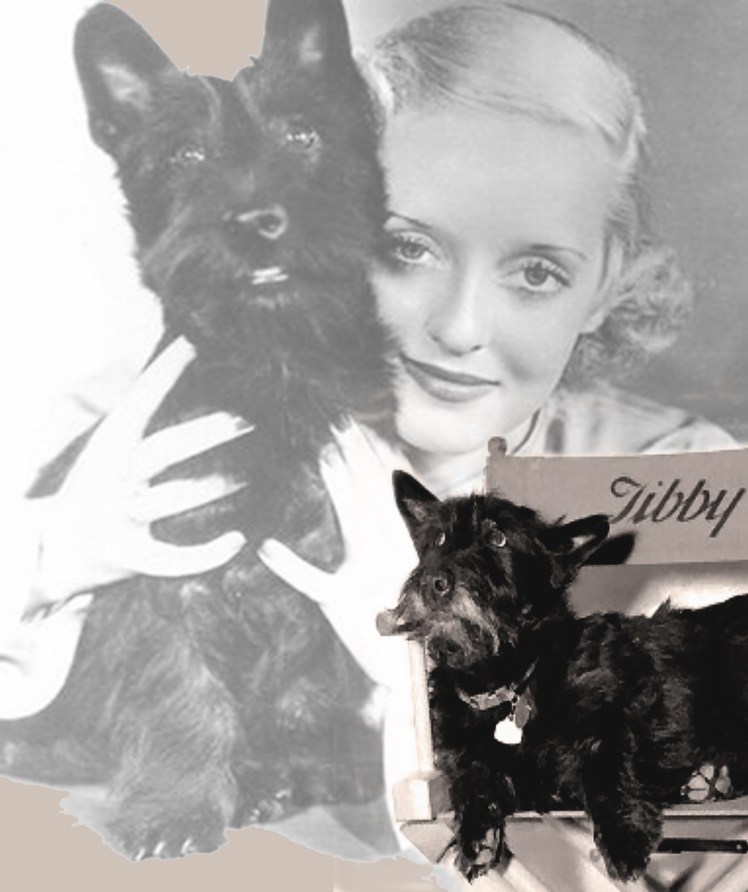 bette davis y tibby
