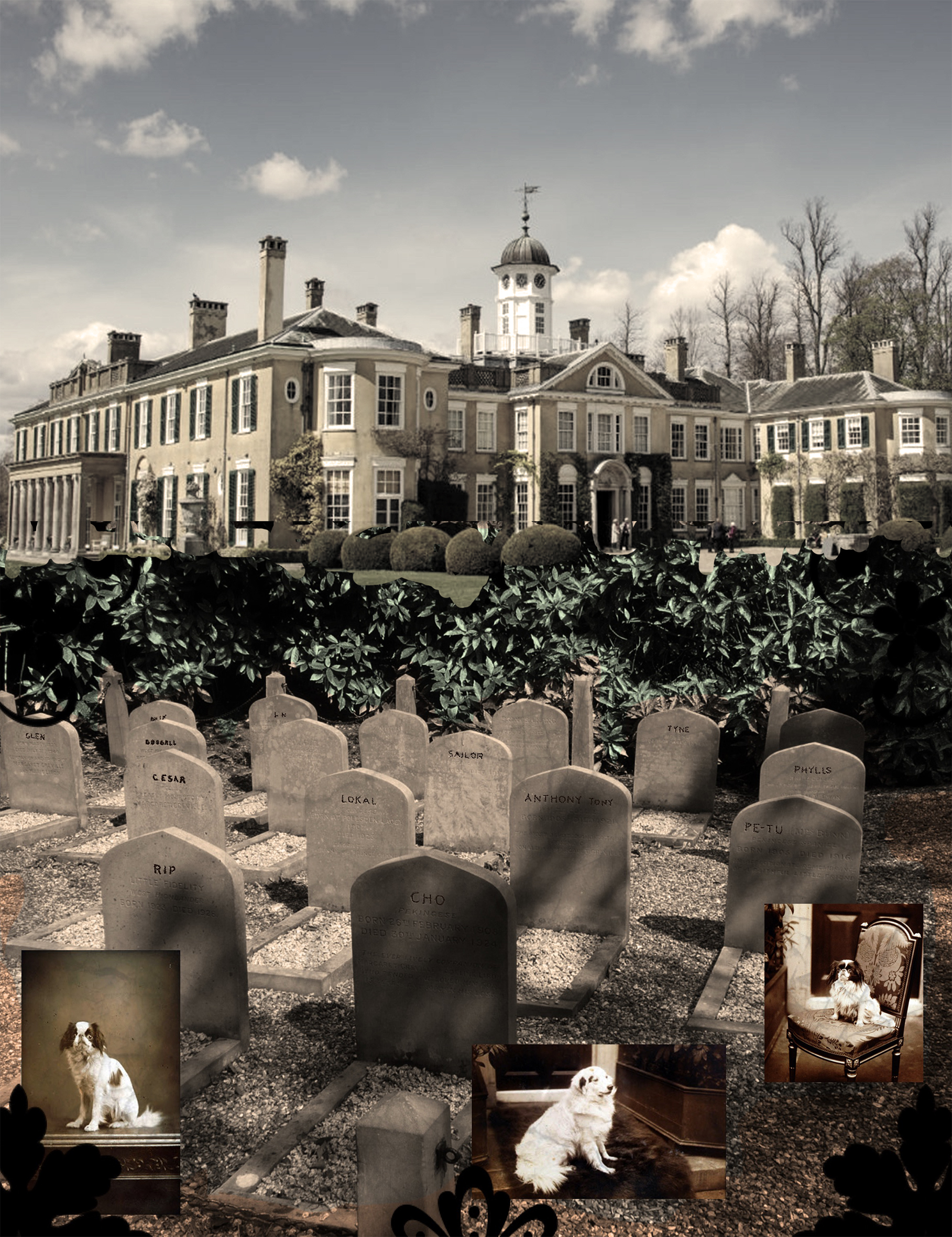 Ronnie Greville y Rip