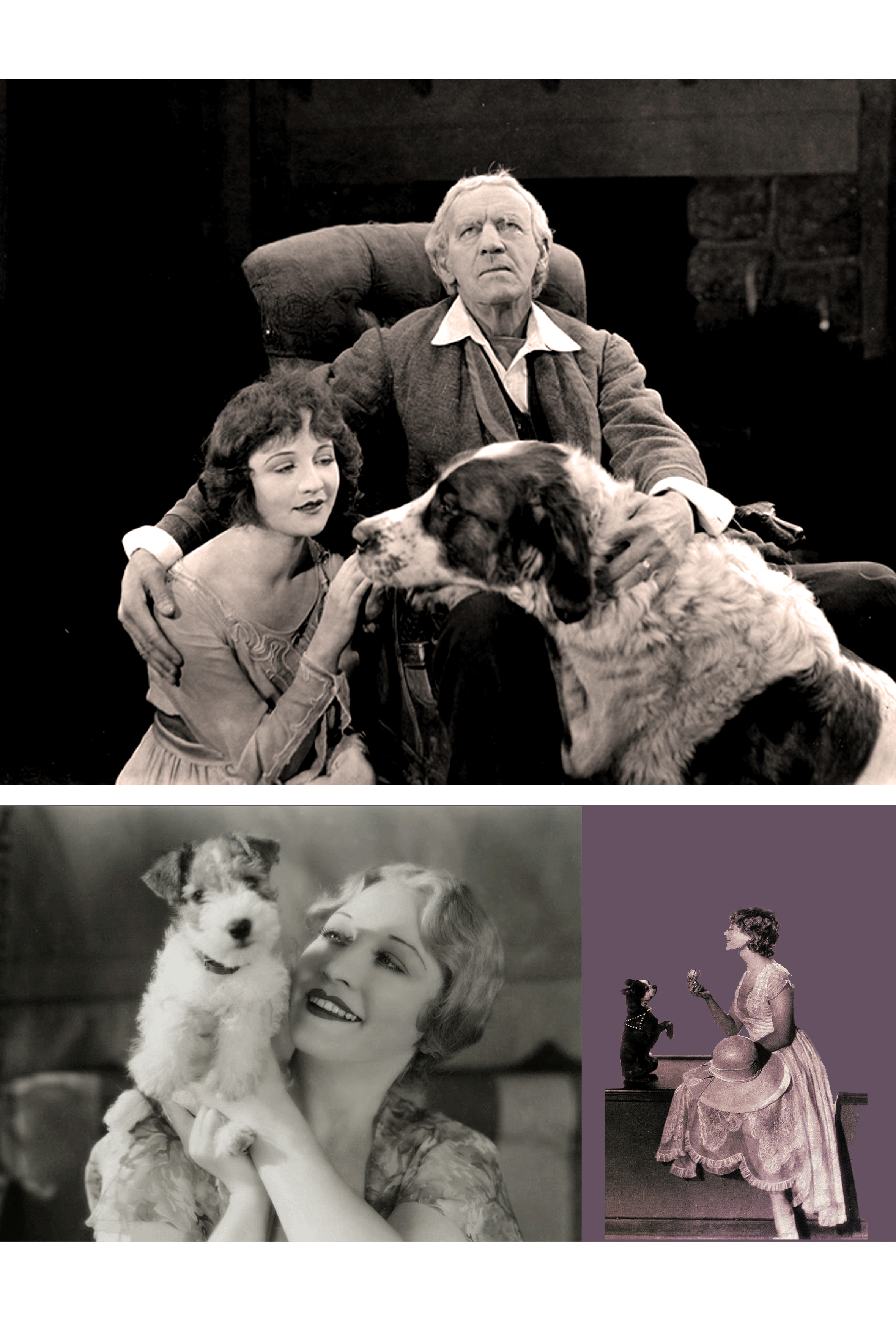 Nuevo_134_MiracleManlrg