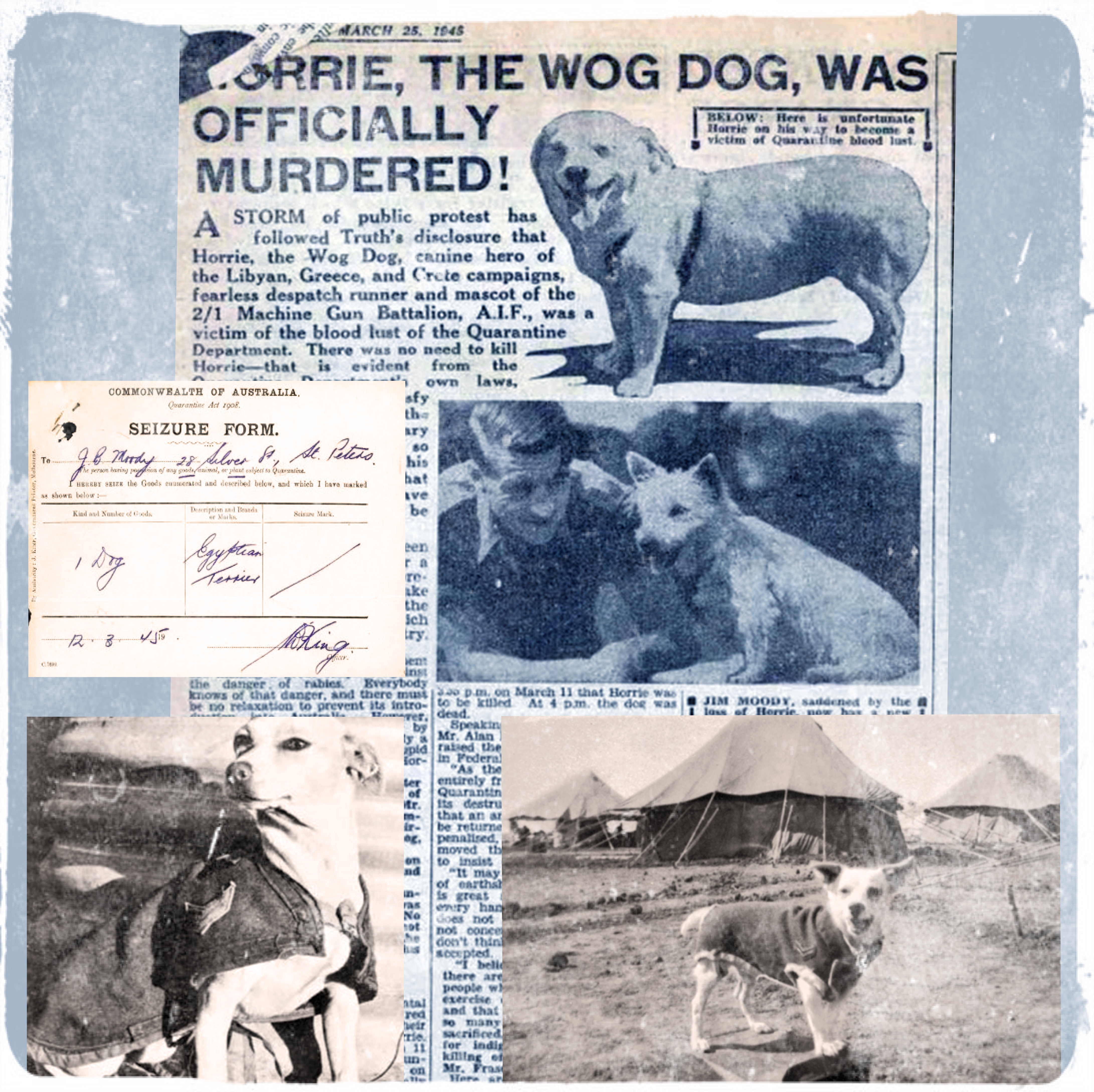 horrie sacrificio.jpeg