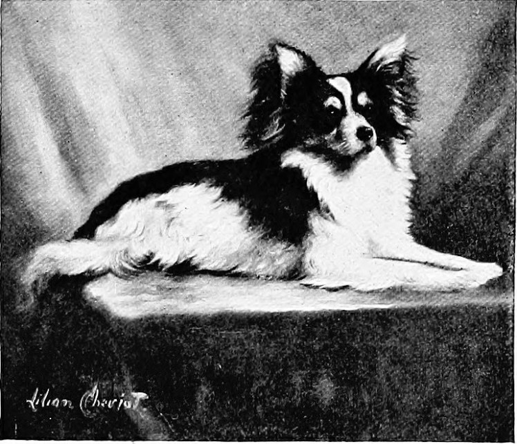 20551722229_fe53b21f0f_o