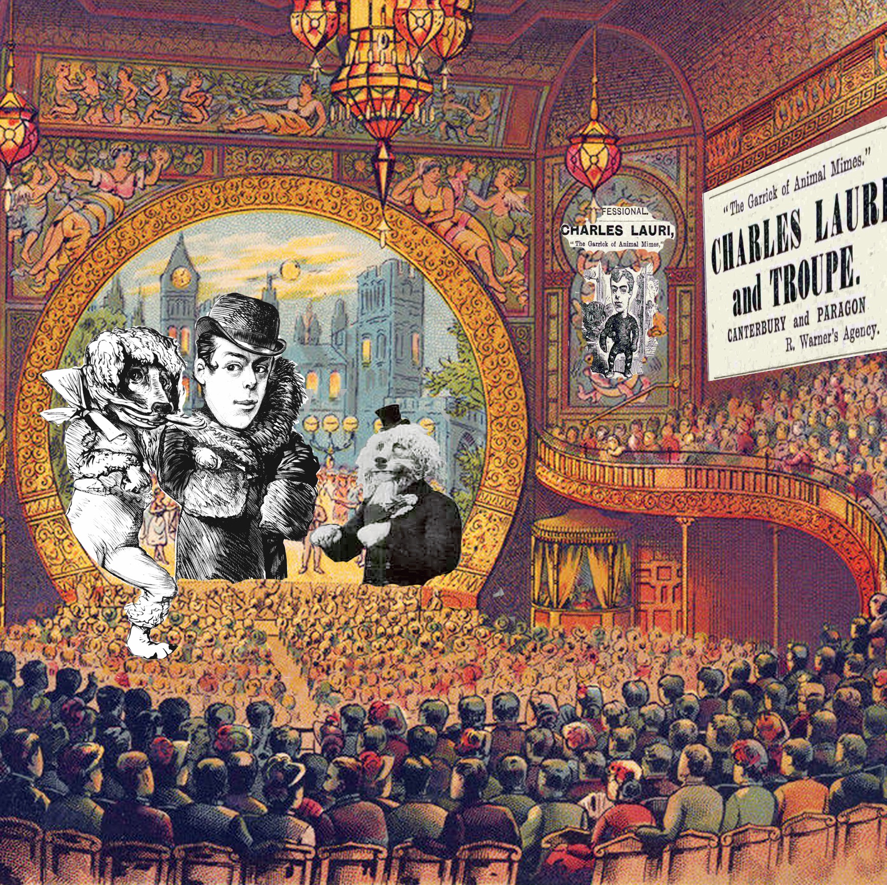 Charles Lauri Poodle.jpg