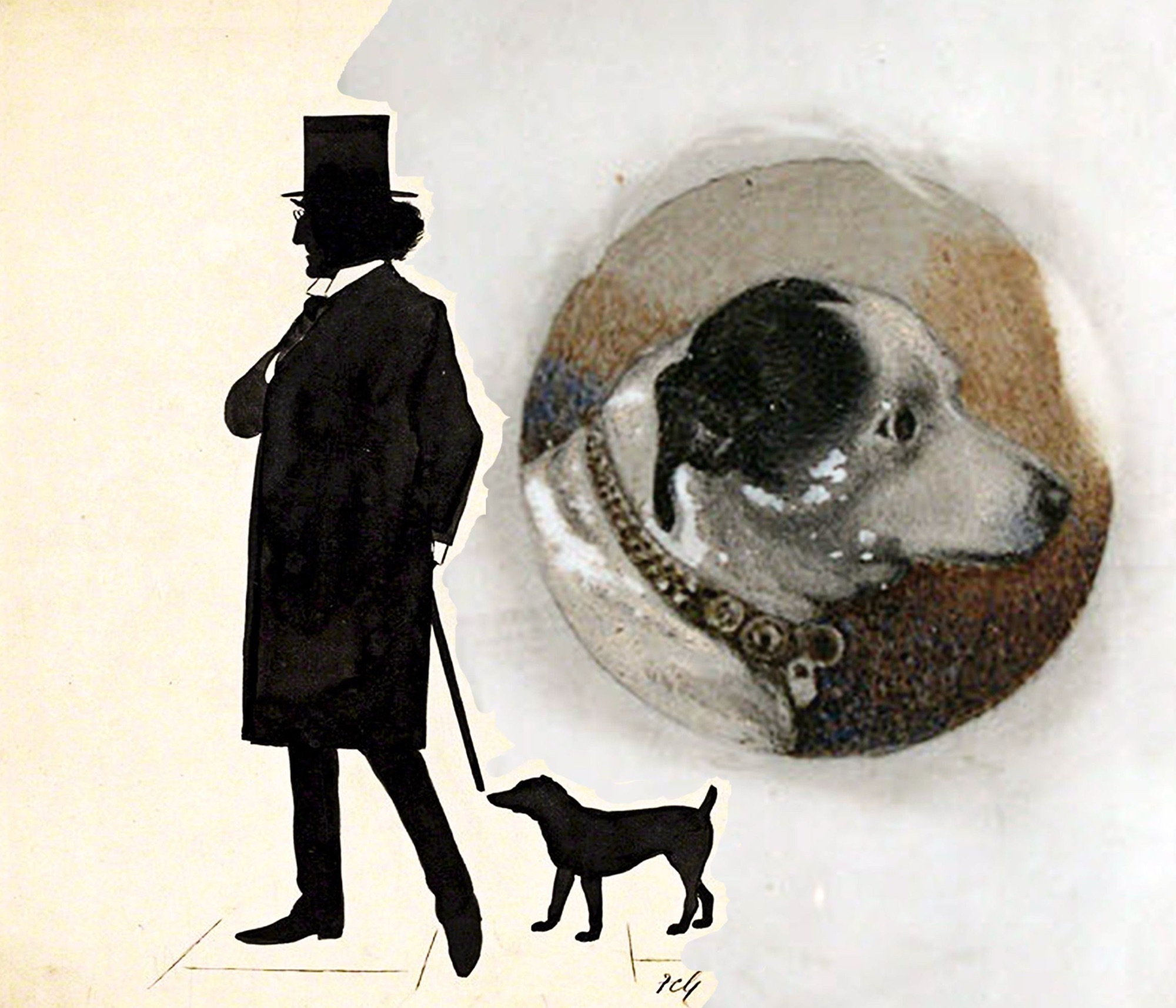 fussy irving terry ilustrados