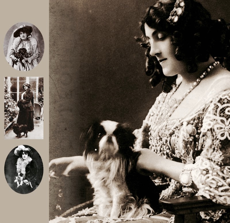 Julia Neilson Old Drury y Mousme | Mousme y Old Drury | Perrillos del halda ilustrados
