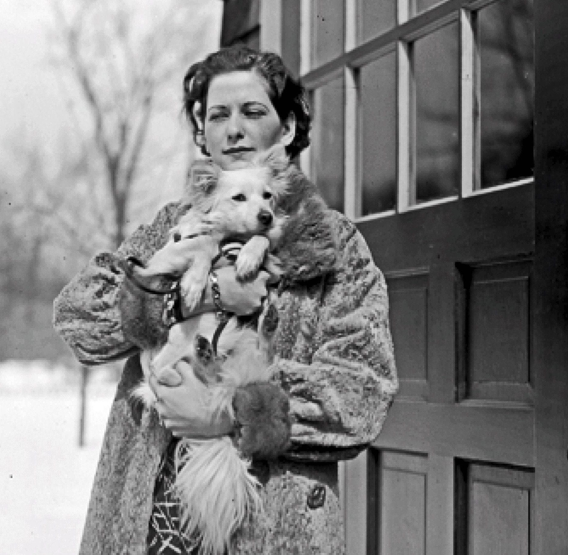 Norma & Brownie 1934 | Un largo invierno en 1934 | Perrillos del halda ilustrados